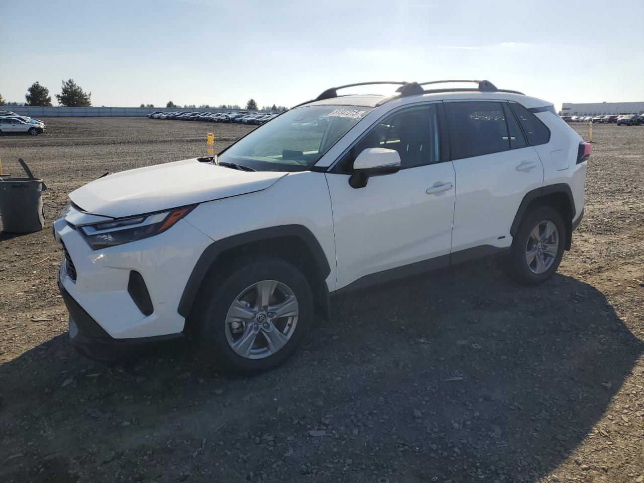 2024 Toyota Rav4 xle XLE