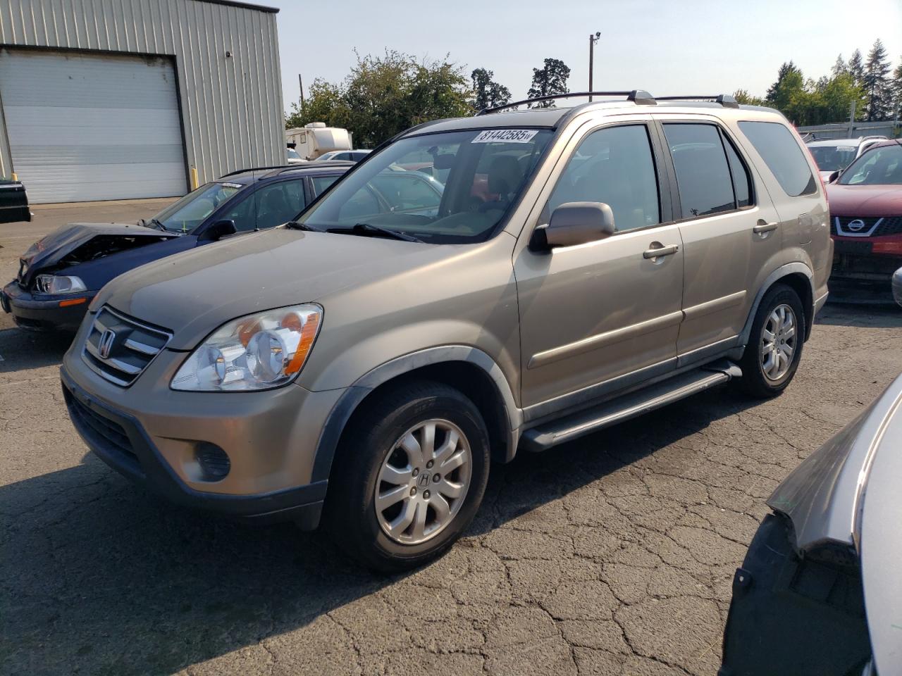 2006 Honda Cr-v se SE