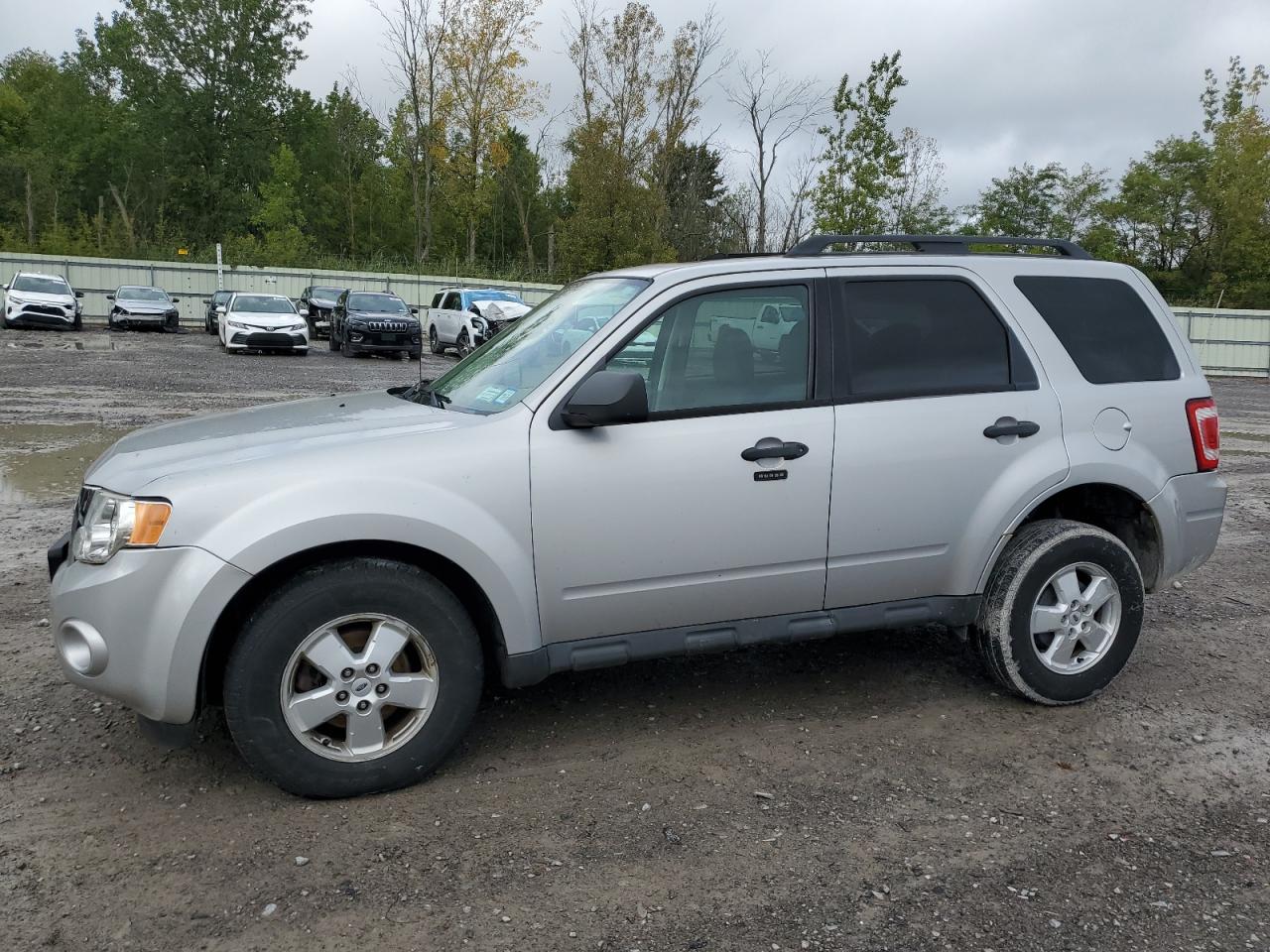 2009 Ford Escape xlt XLT