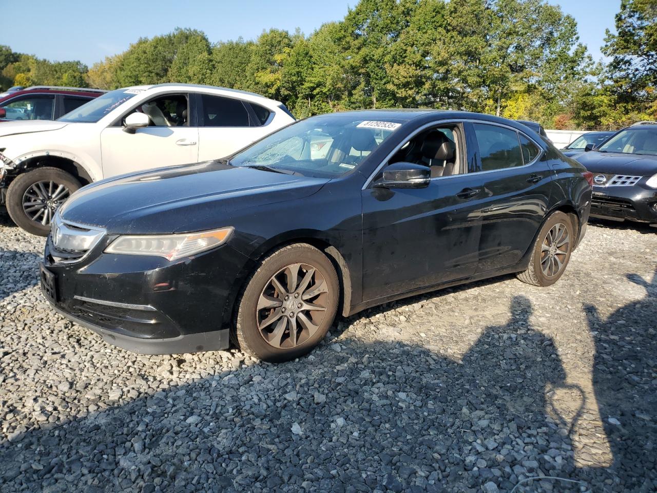 2015 Acura TLX