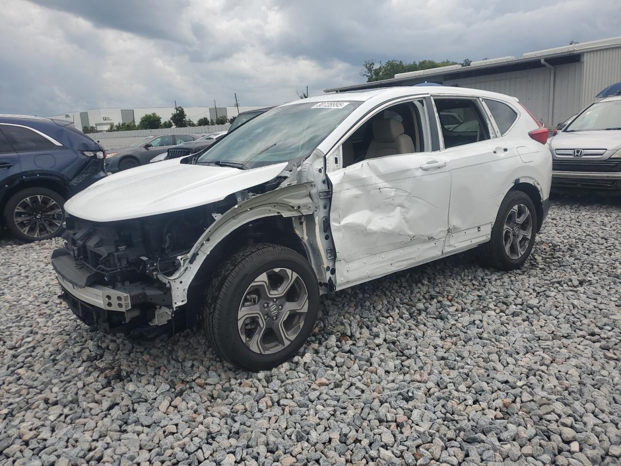 2019 Honda Cr-v exl EXL