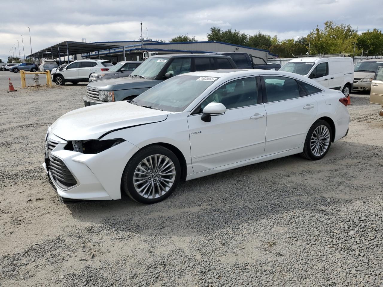 2019 Toyota Avalon xle XLE