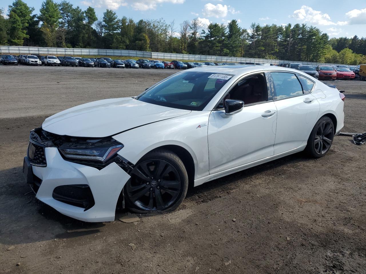 2022 Acura TLX