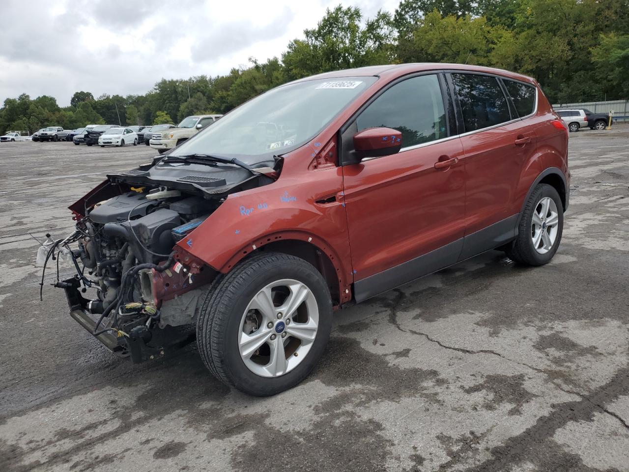 2014 Ford Escape se SE