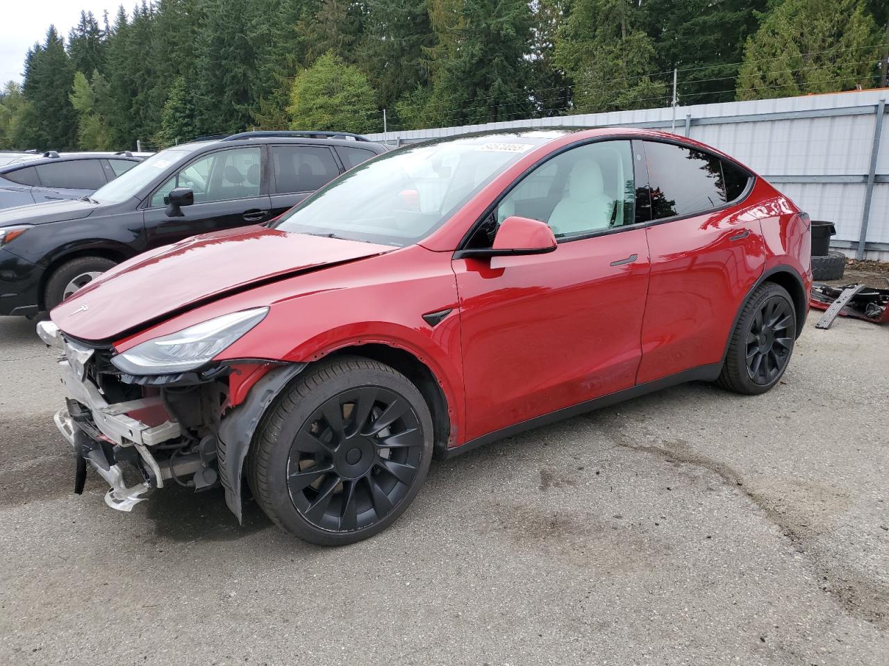 2021 Tesla Model y