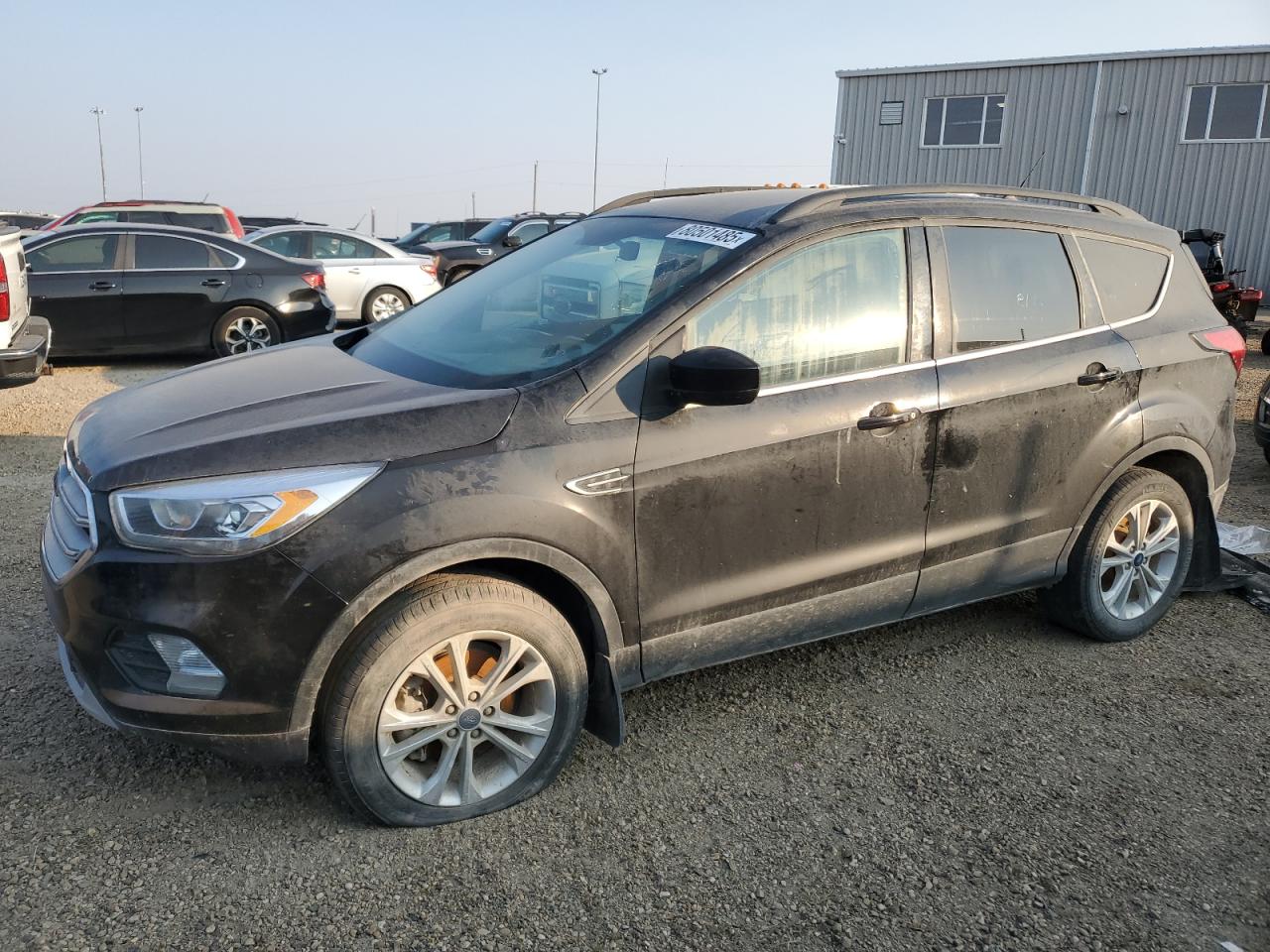2019 Ford Escape sel SEL