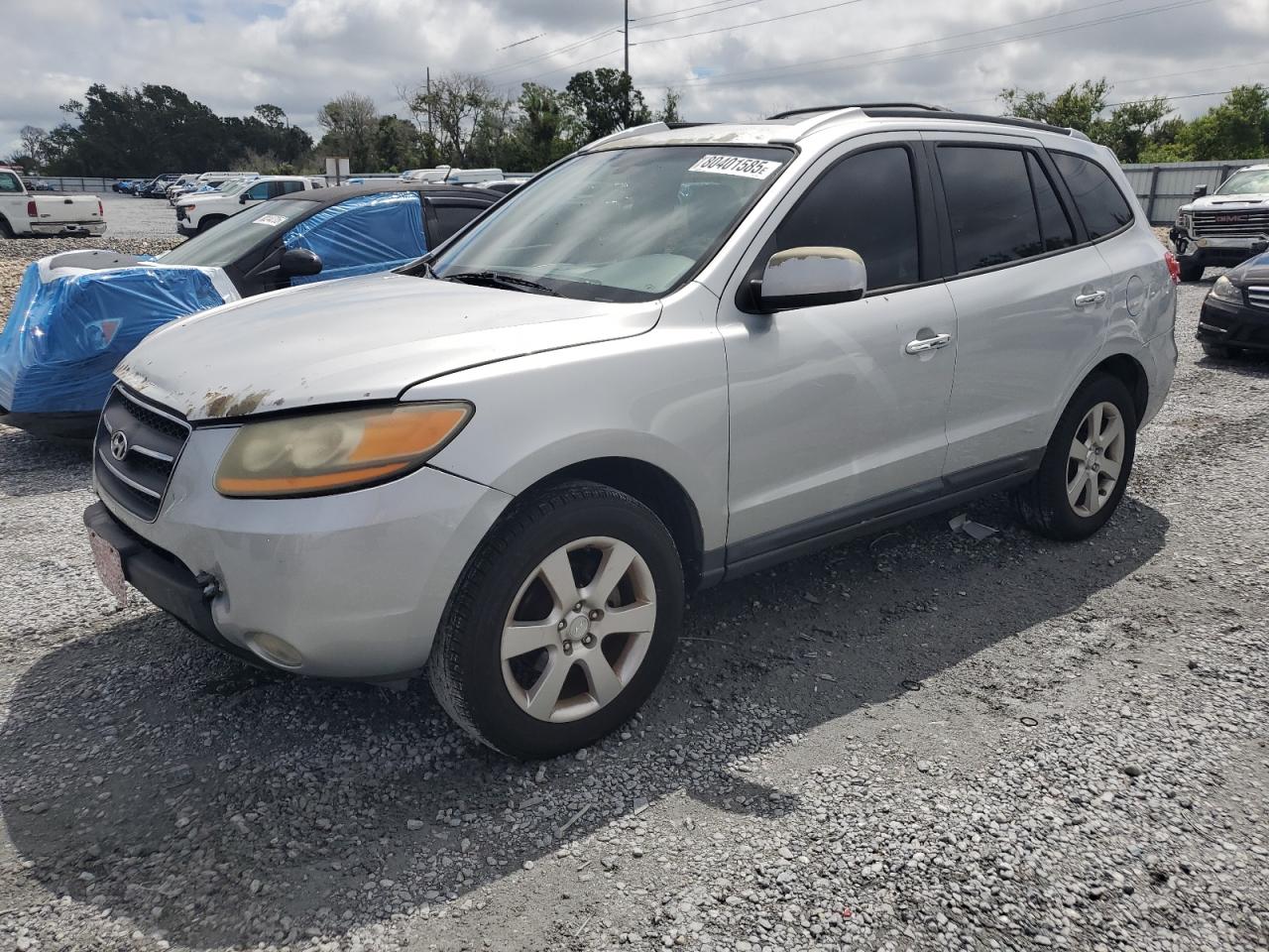 2009 Hyundai Santa fe s SE