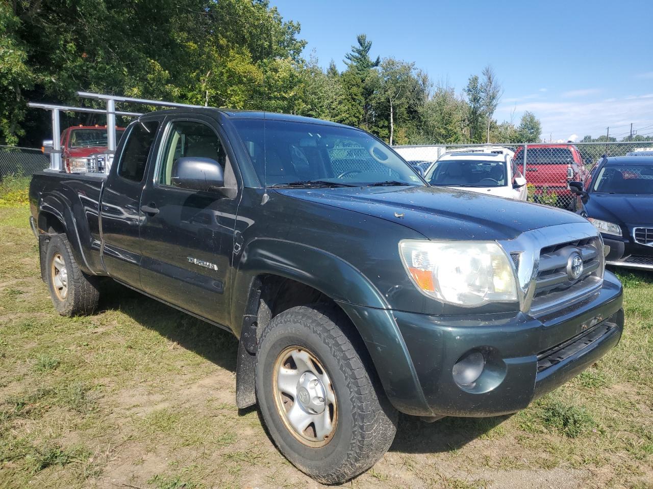 2010 Toyt Tacoma access cab ACCESS CAB