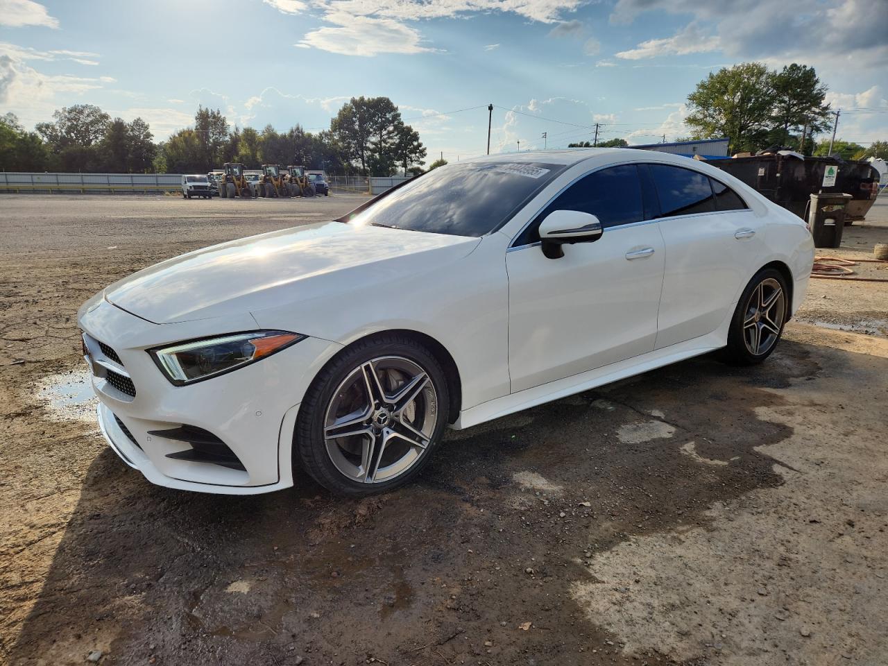 2019 Mercedes-benz Cls-class Cls 450 4matic