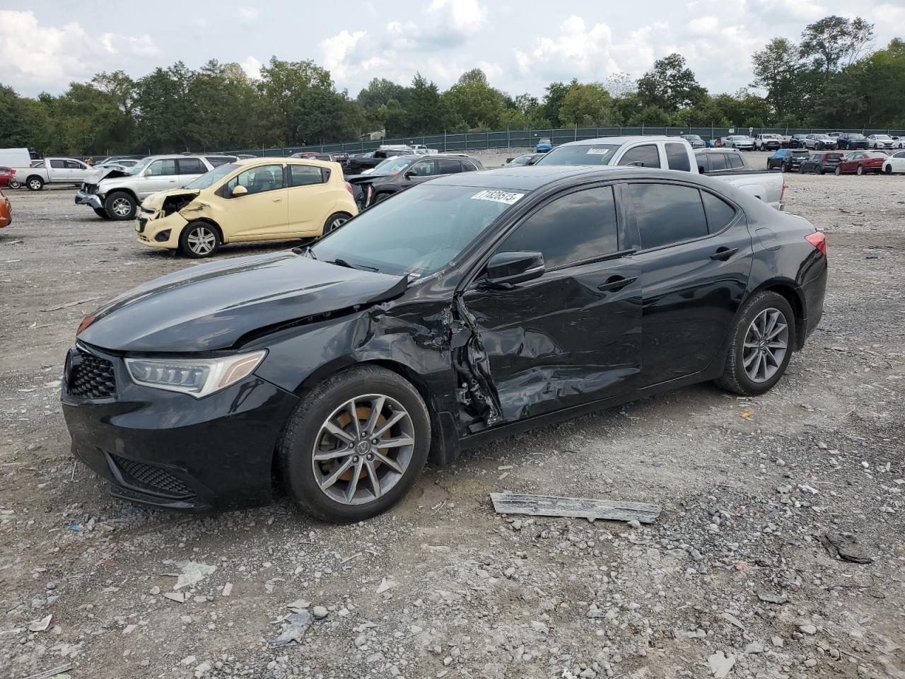 2019 Acura TLX