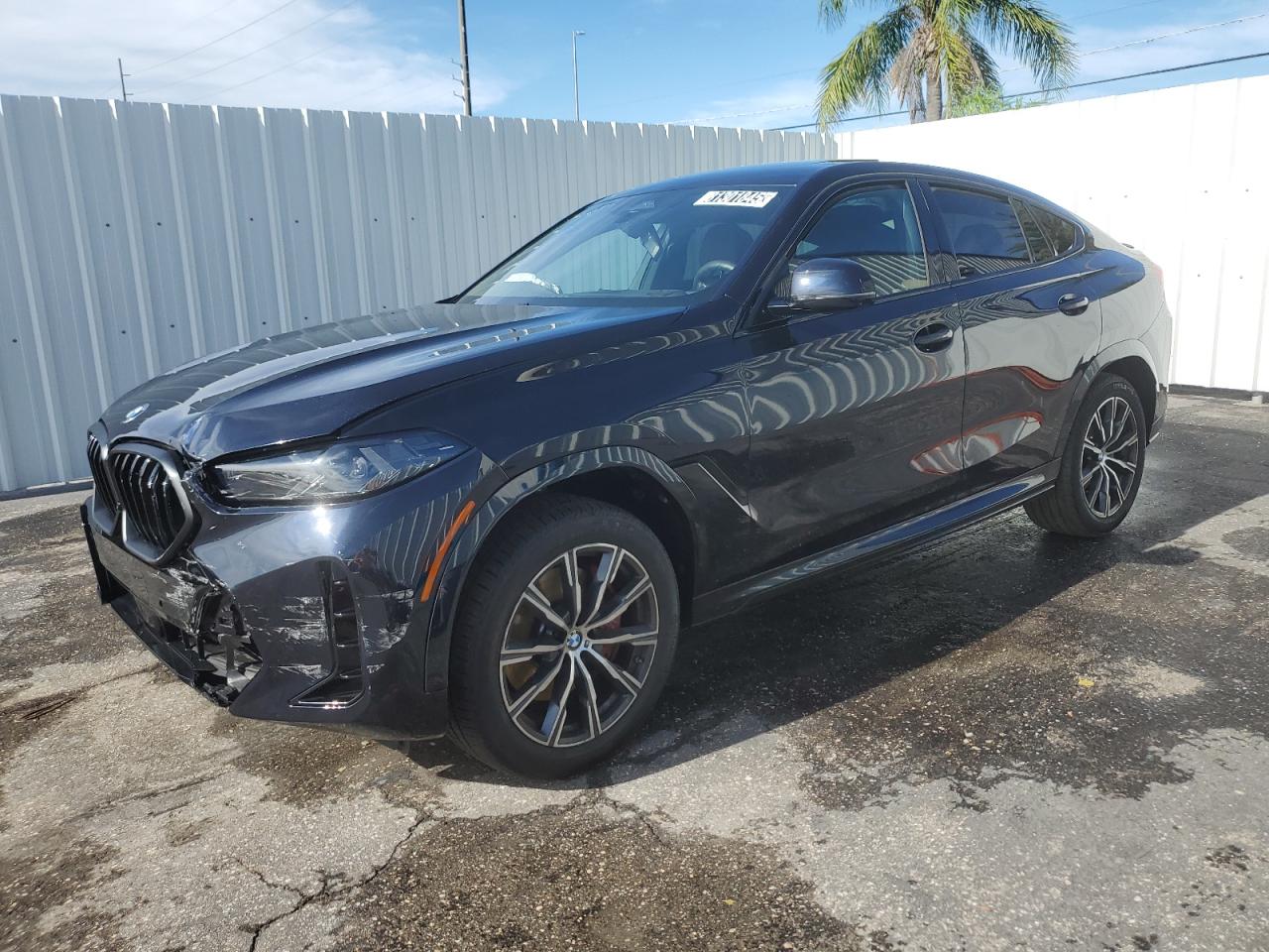 2026 BMW X6