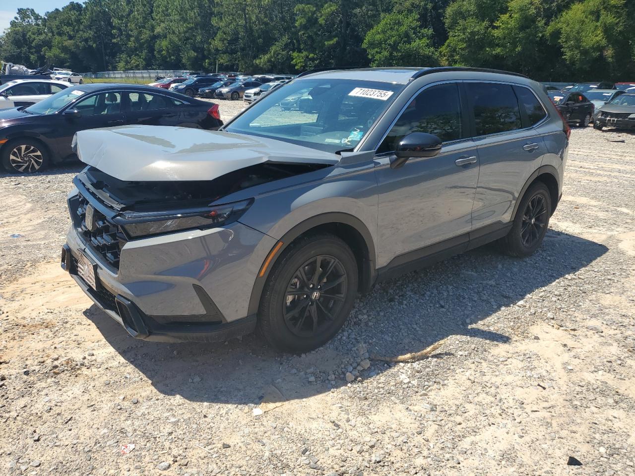 2025 Honda Cr-v sport-l SPORT-L