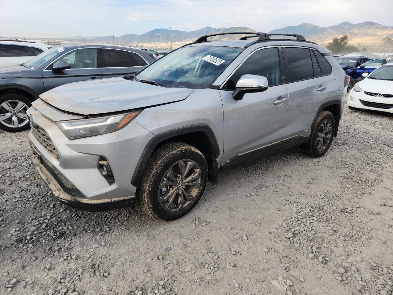 2024 Toyota Rav4 xle premium XLE PREMIUM