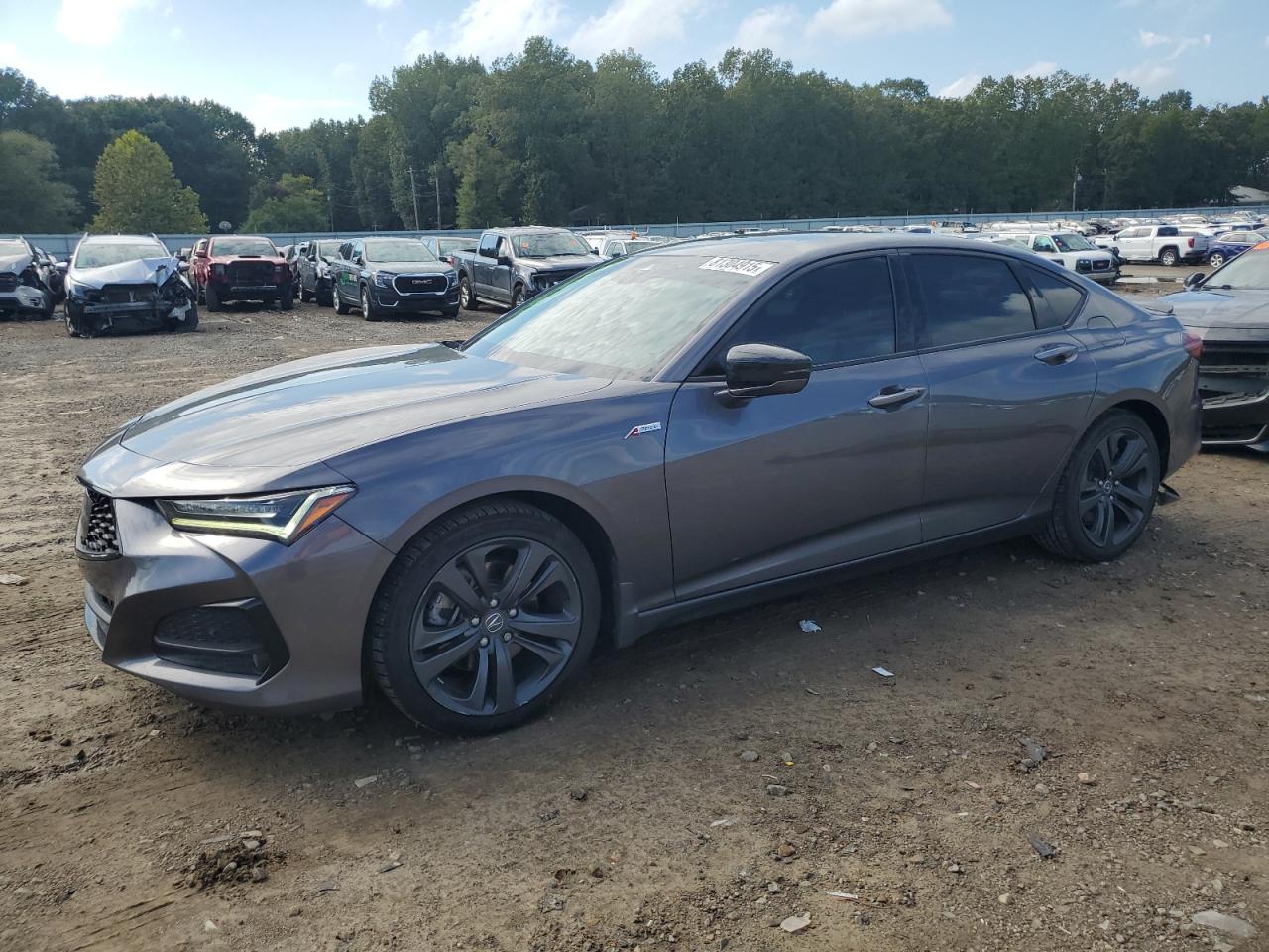 2022 Acura TLX