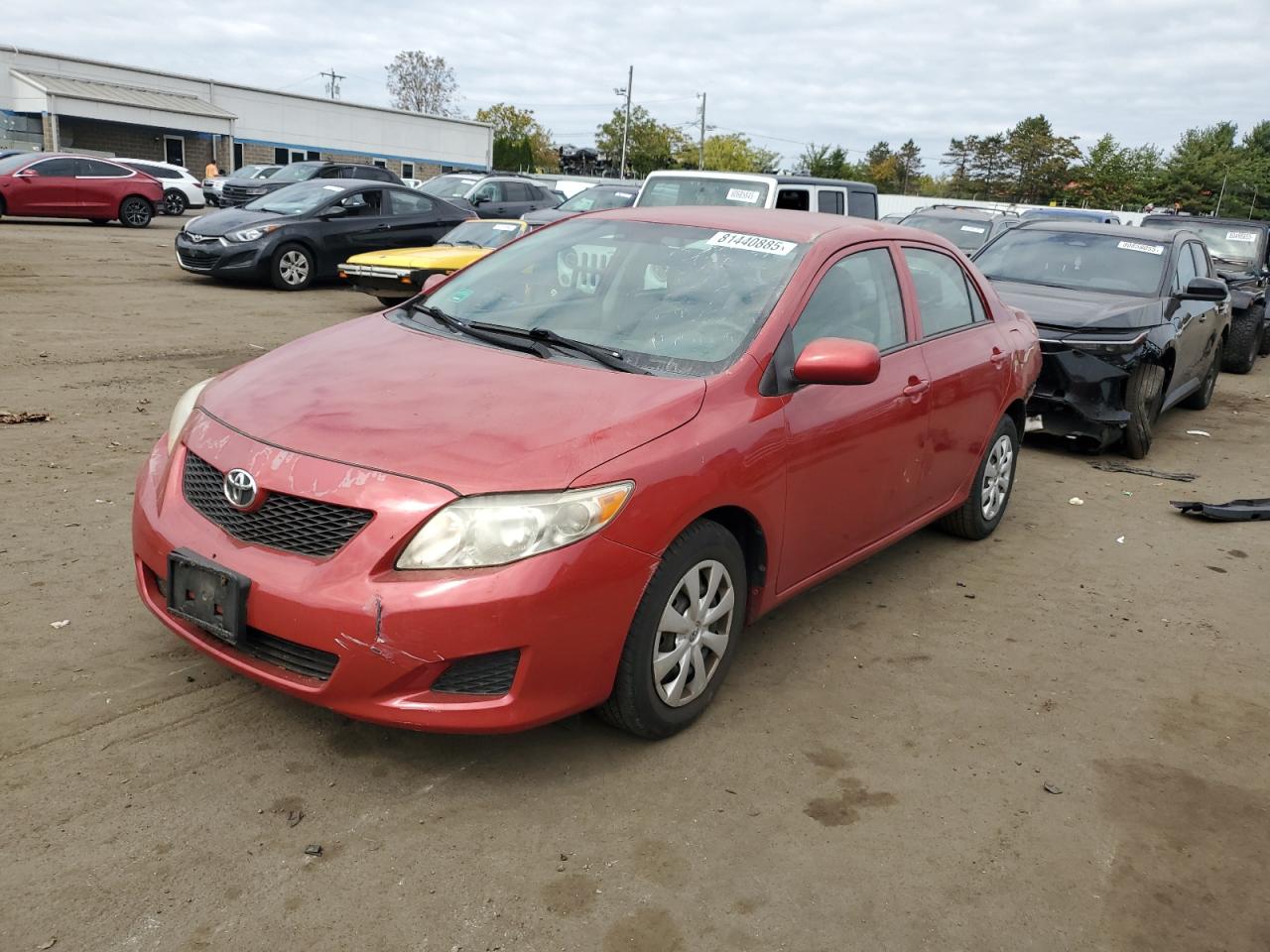 2010 Toyota Corolla ba