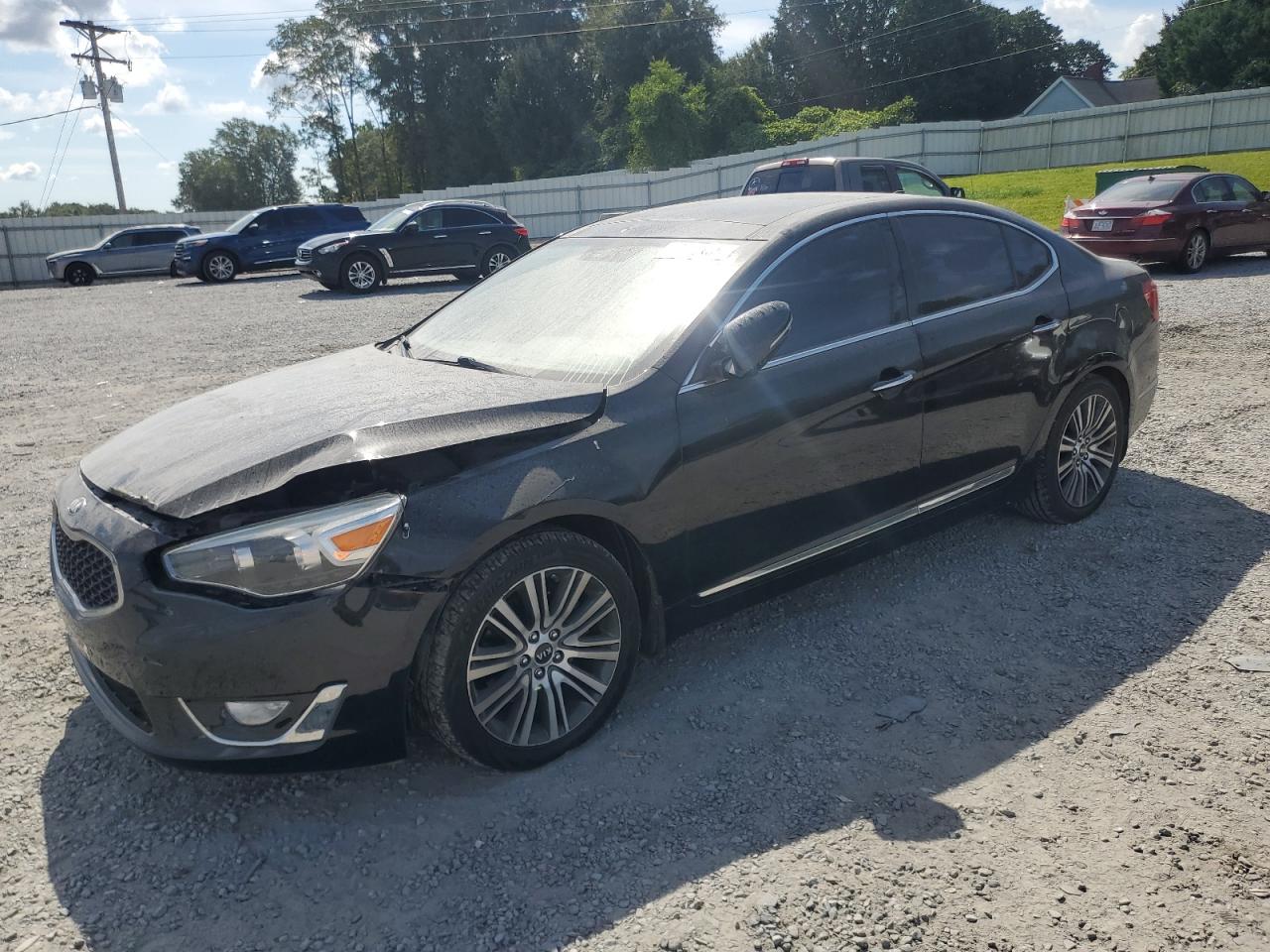 2014 Kia Cadenza