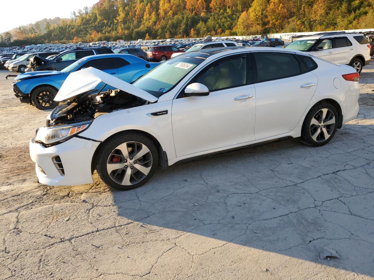 2016 Kia Optima sx SX