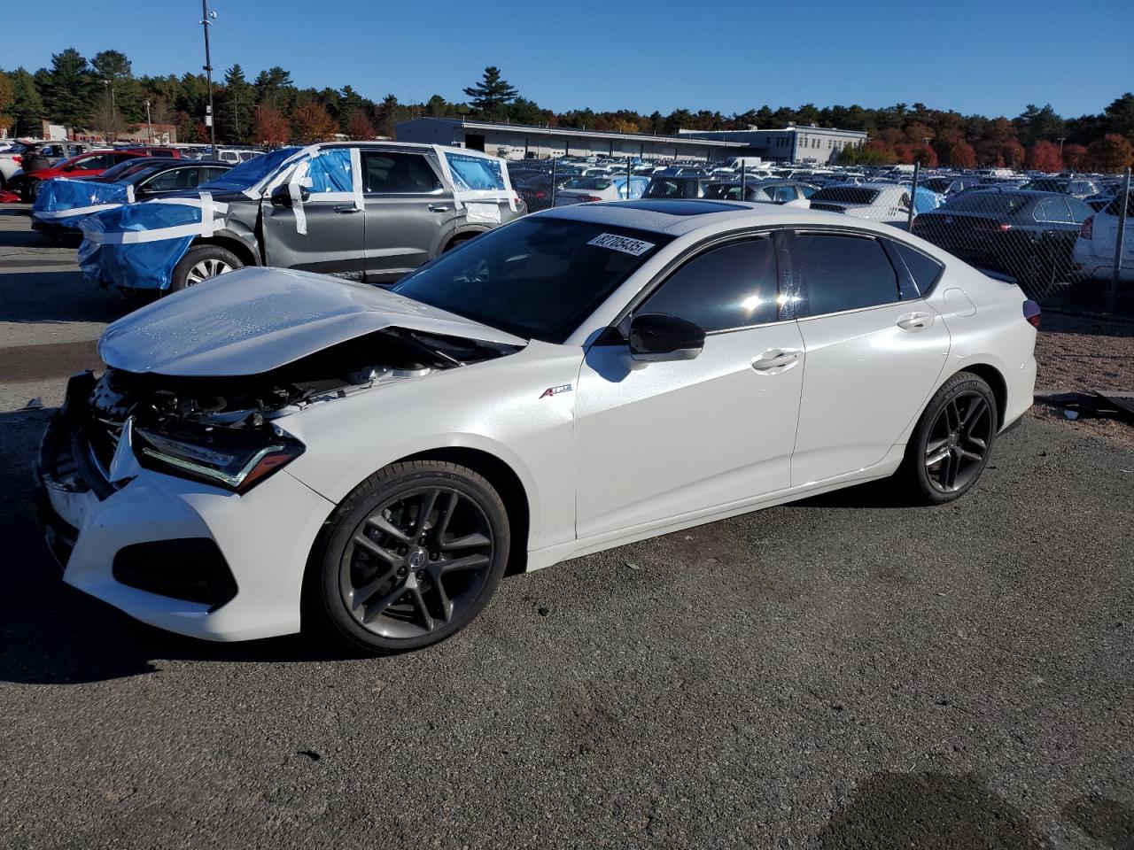 2025 Acura TLX