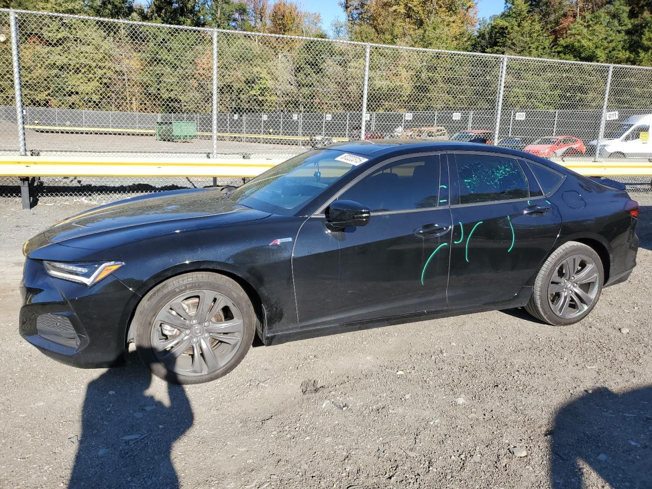 2023 Acura TLX