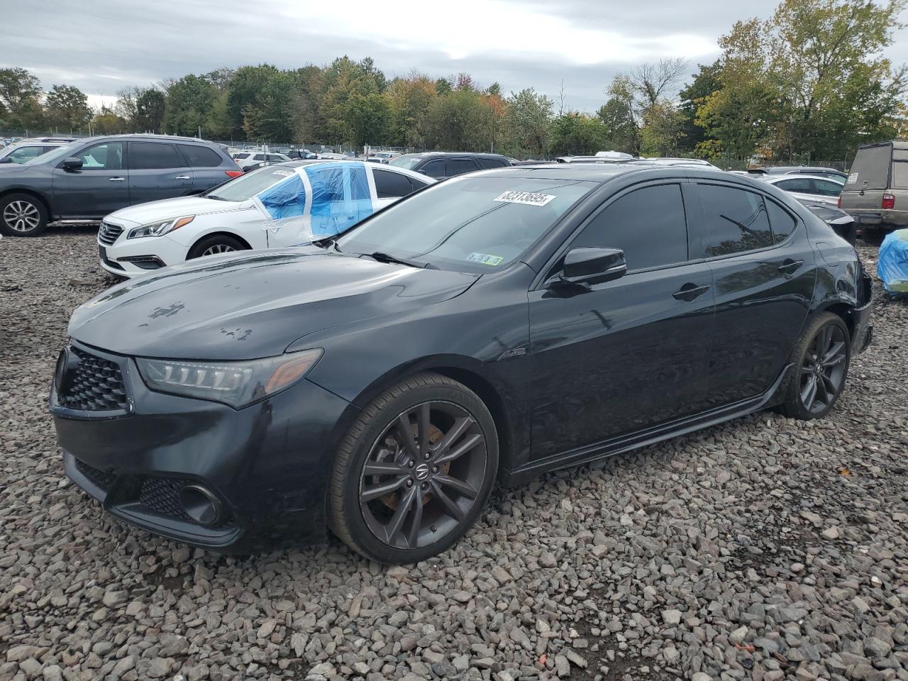 2019 Acura TLX