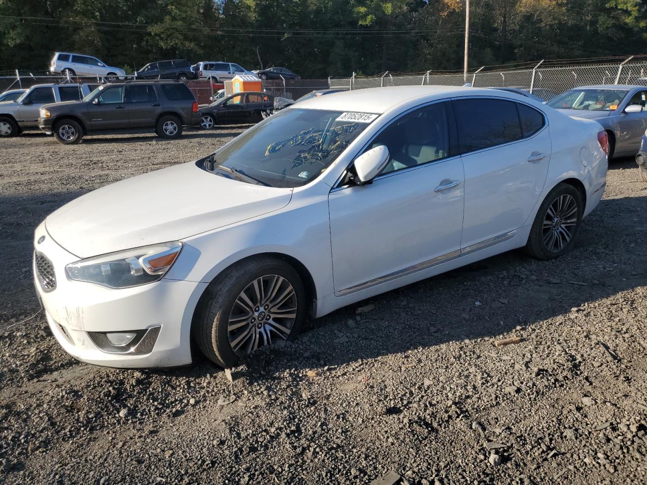 2014 Kia Cadenza