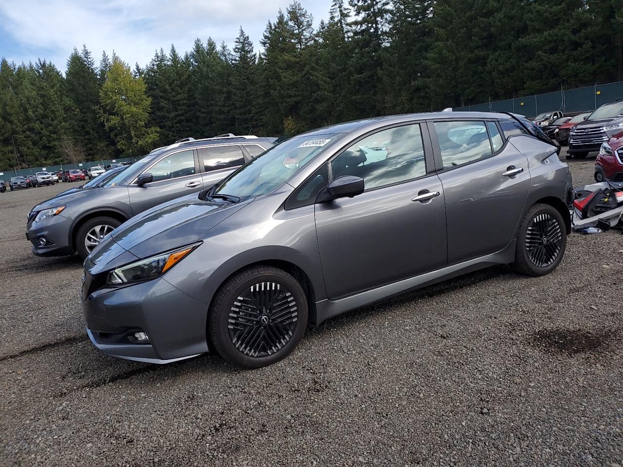 2025 Nissan Leaf
