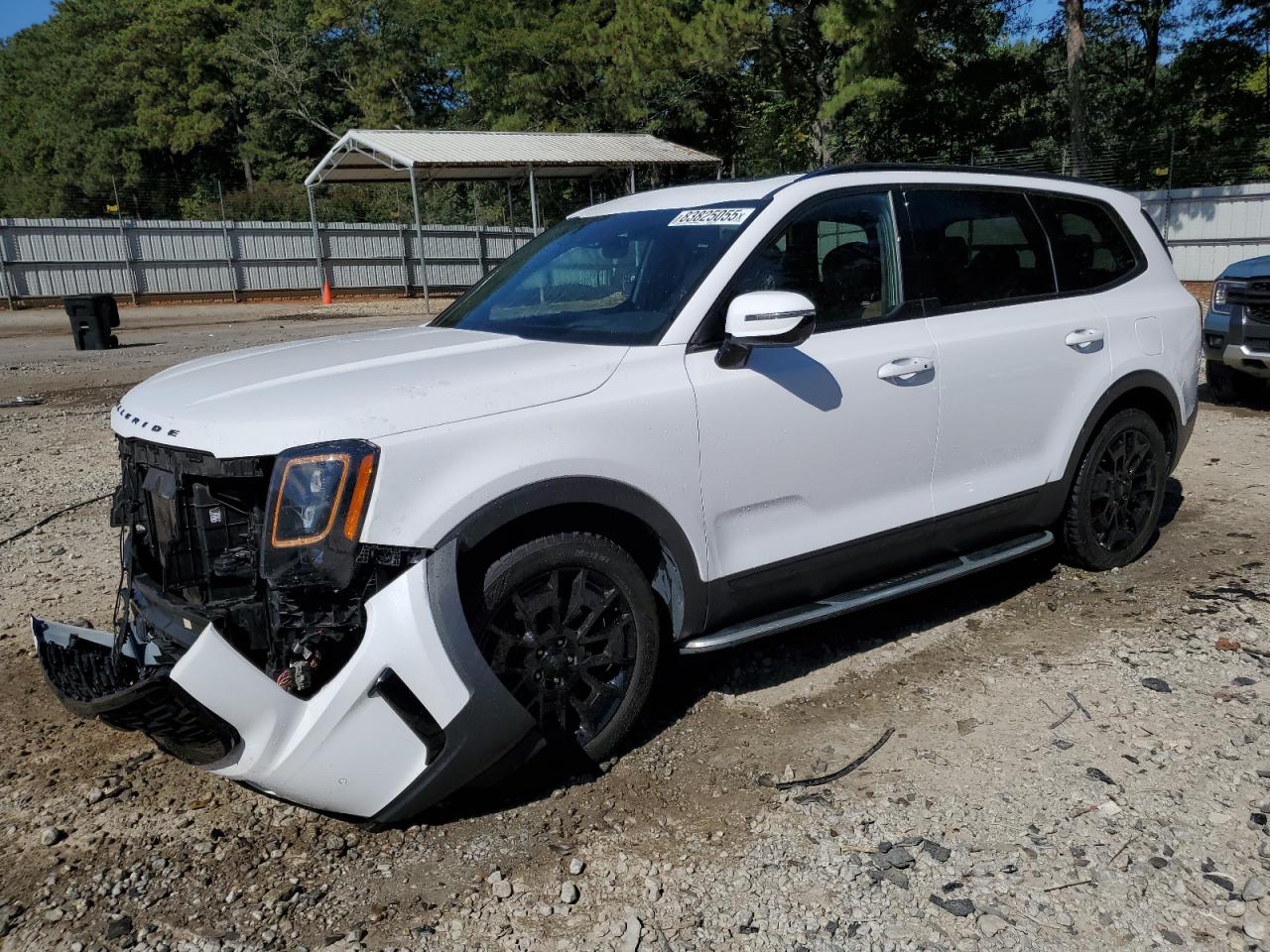 2021 Kia Telluride