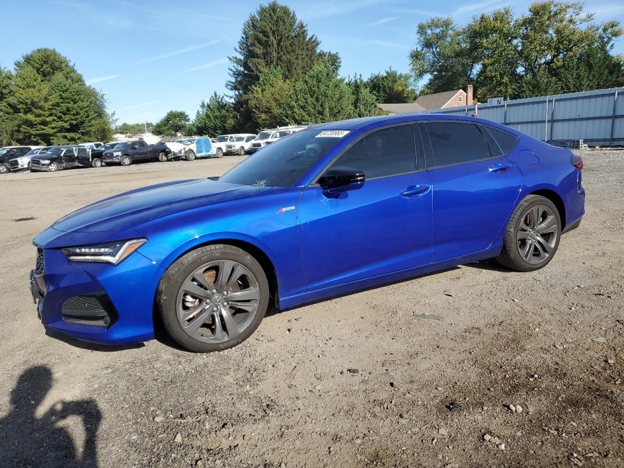 2023 Acura TLX