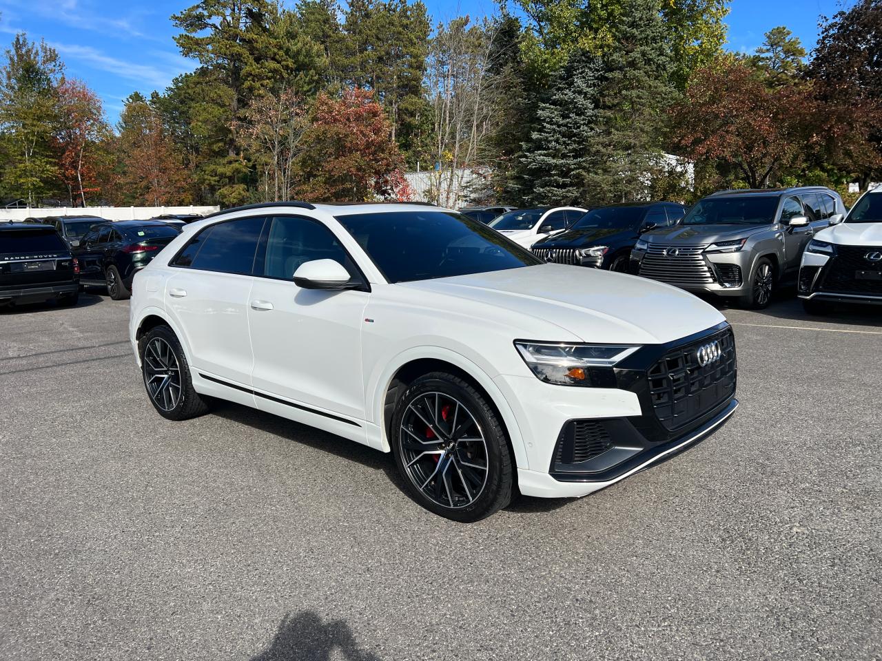 2019 Audi Q8