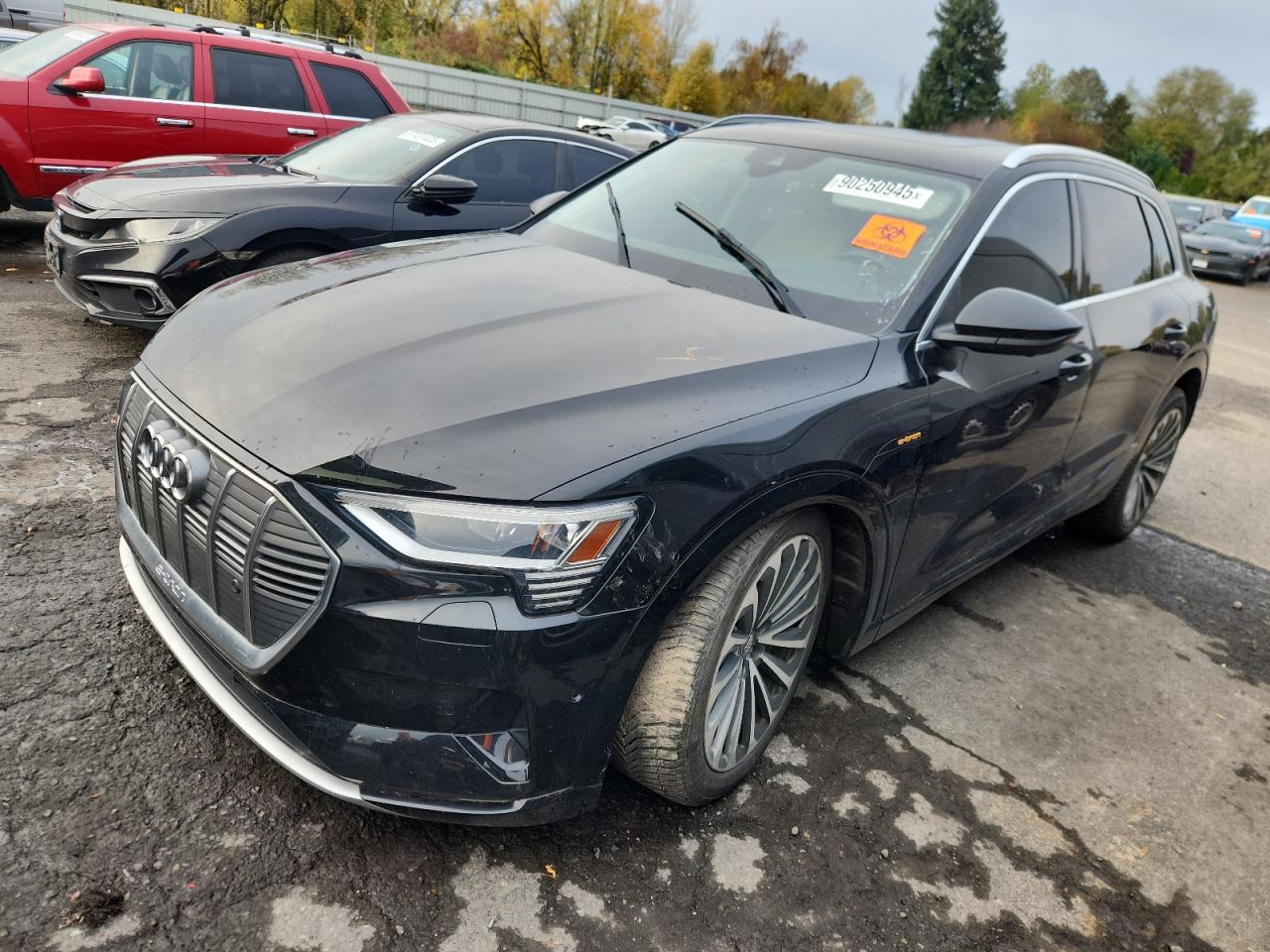 2019 Audi e-tron