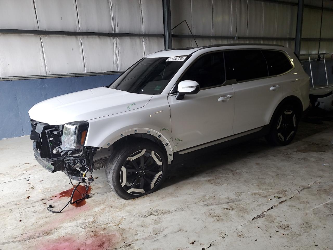 2024 Kia Telluride
