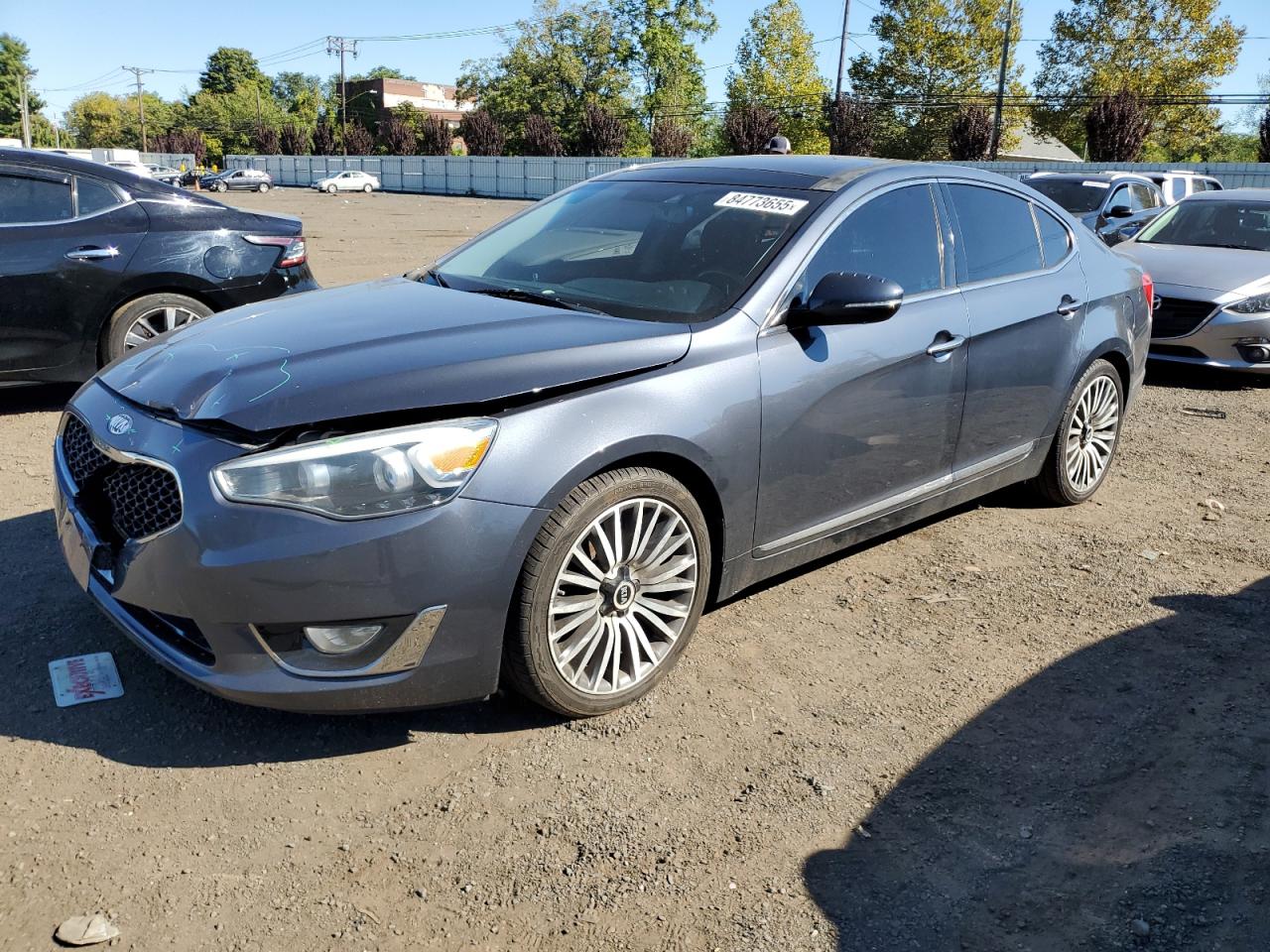2014 Kia Cadenza