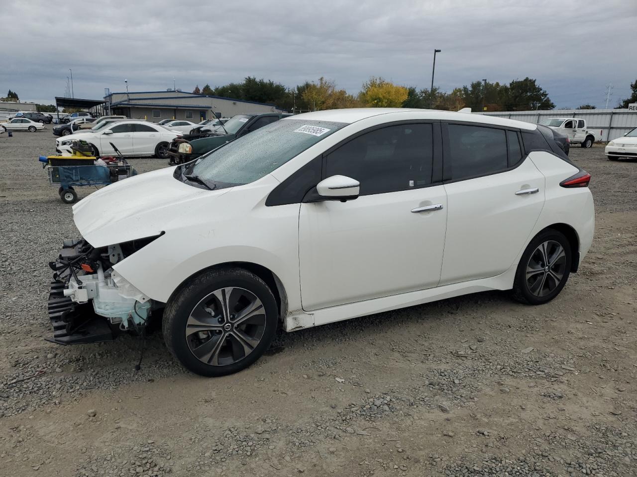 2020 Nissan Leaf