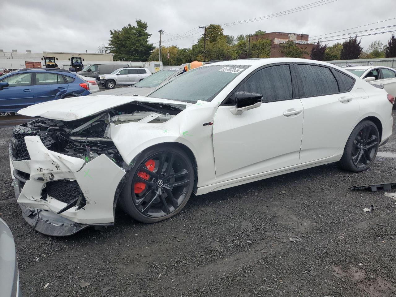 2024 Acura TLX