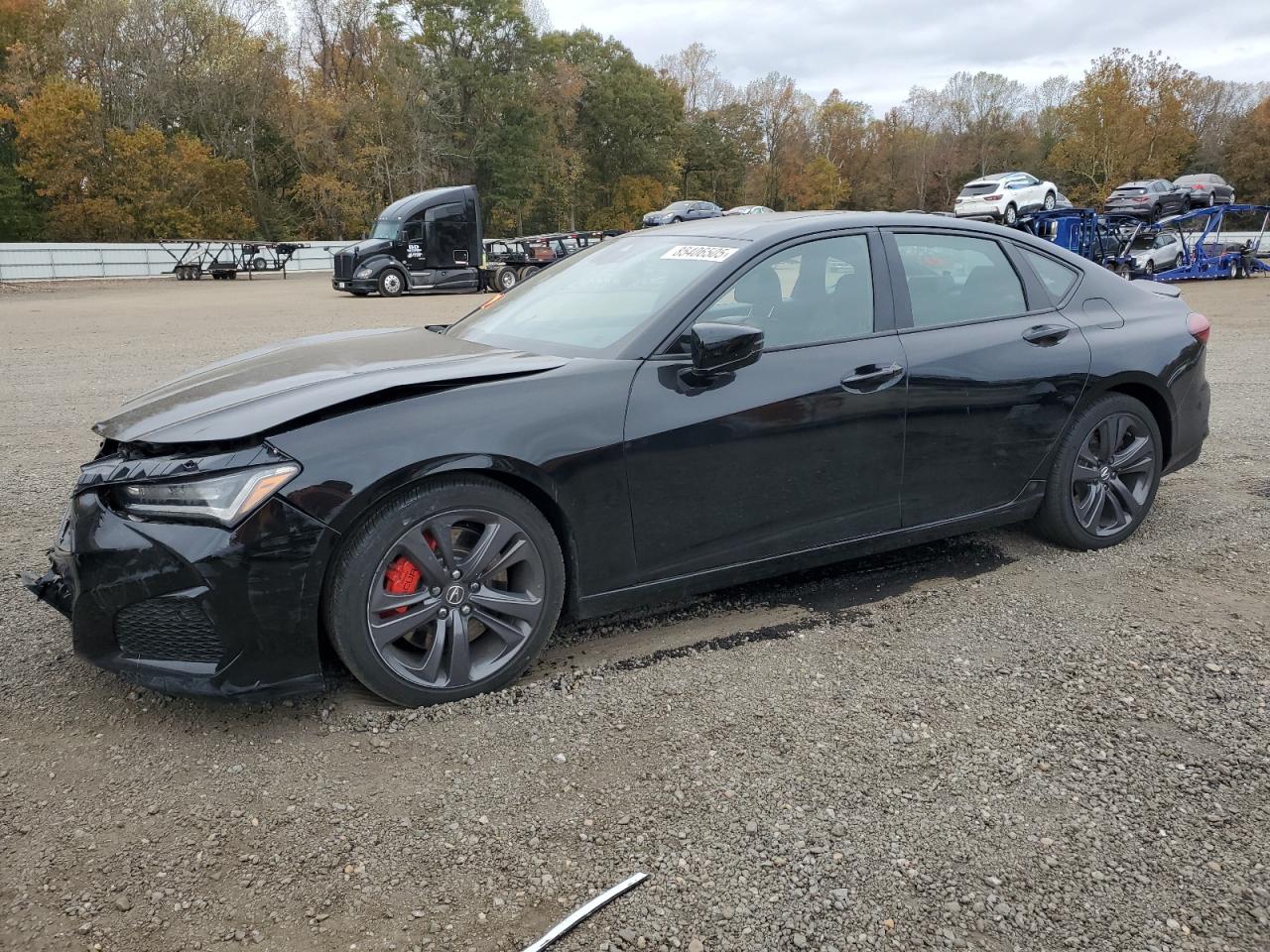 2023 Acura TLX