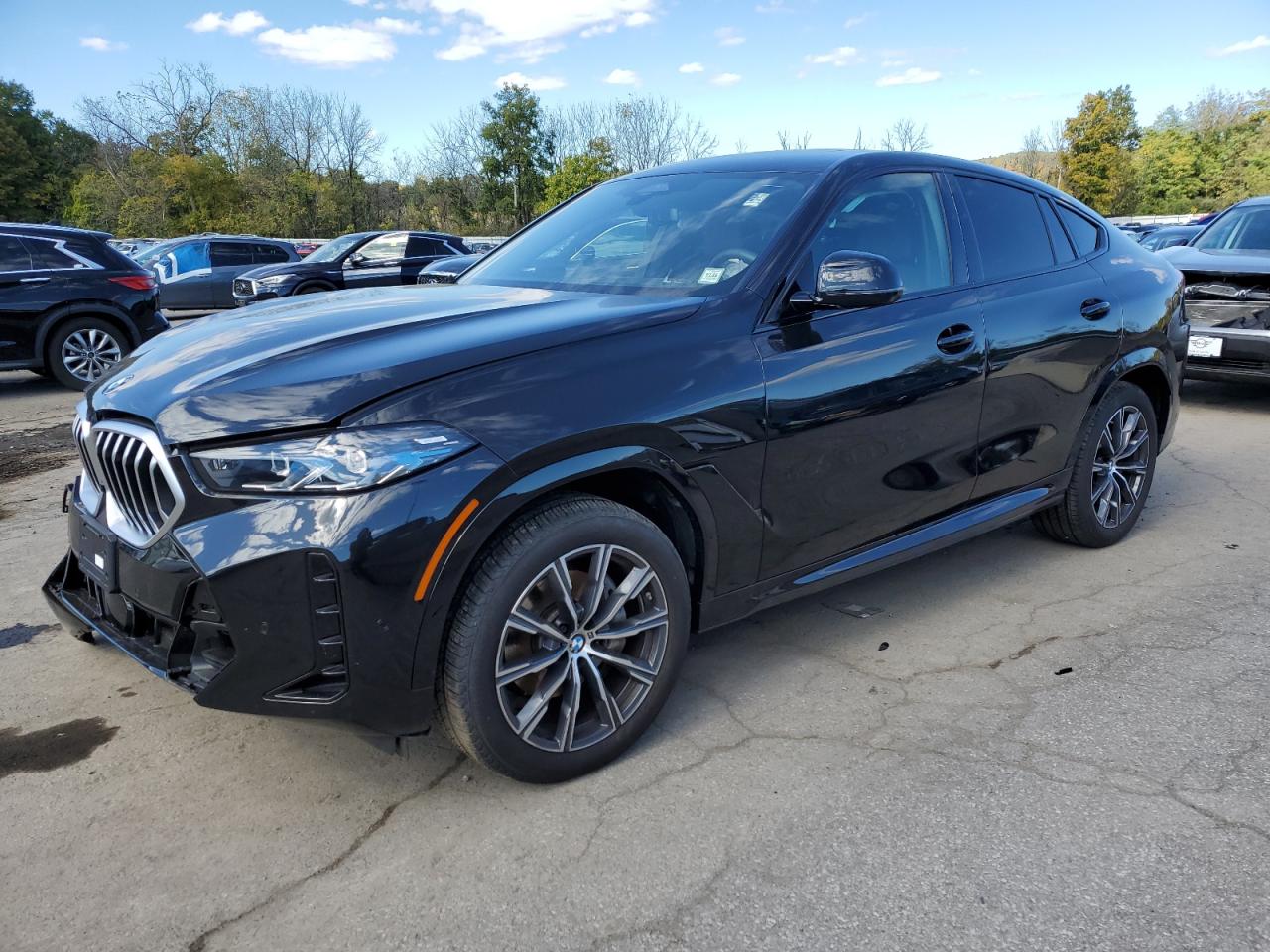 2025 BMW X6