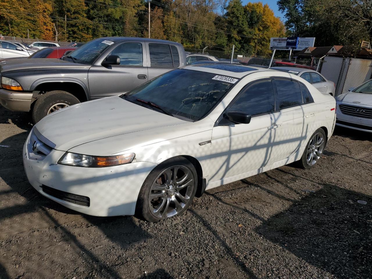 2006 Acura TL