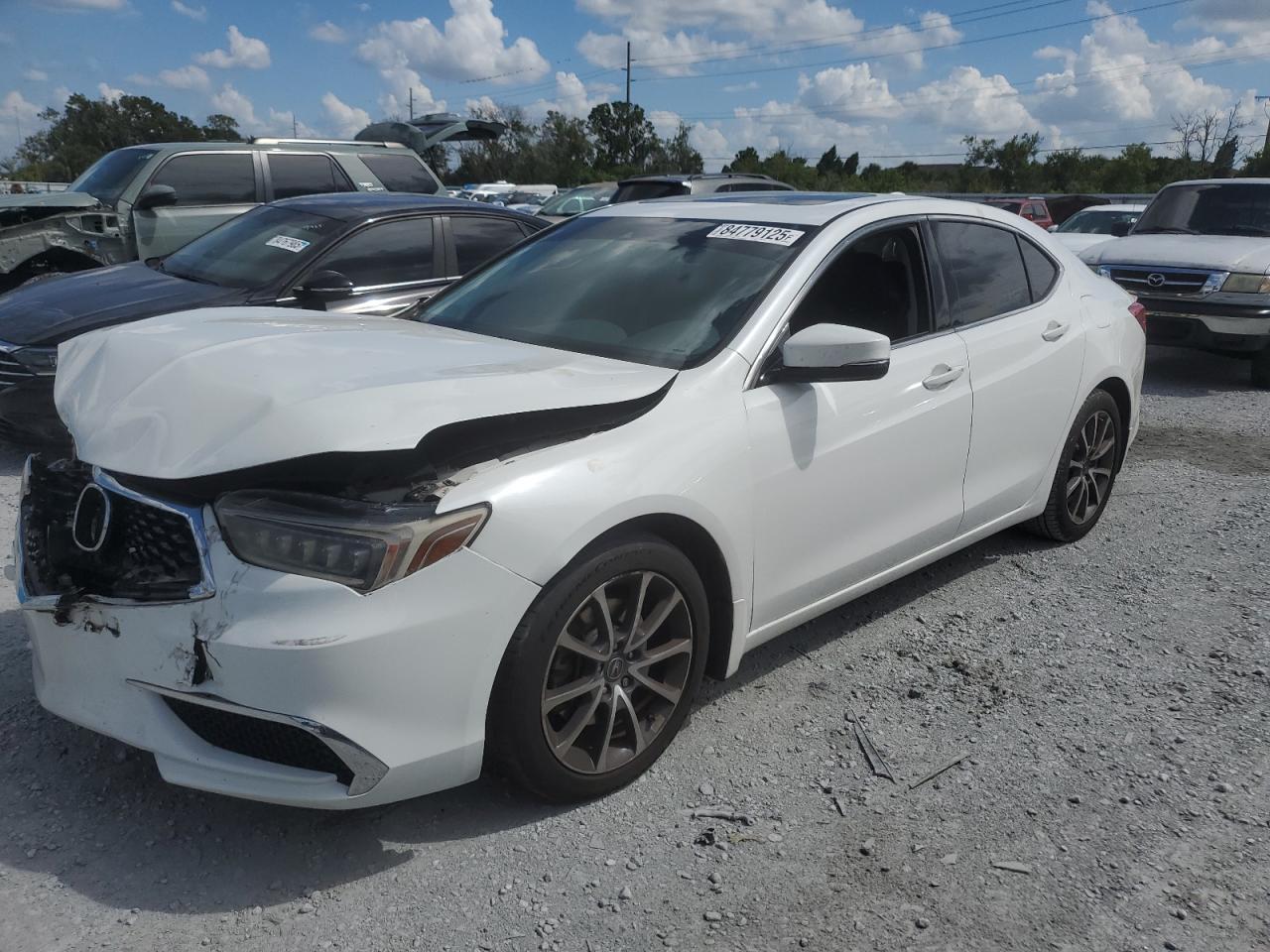 2019 Acura TLX