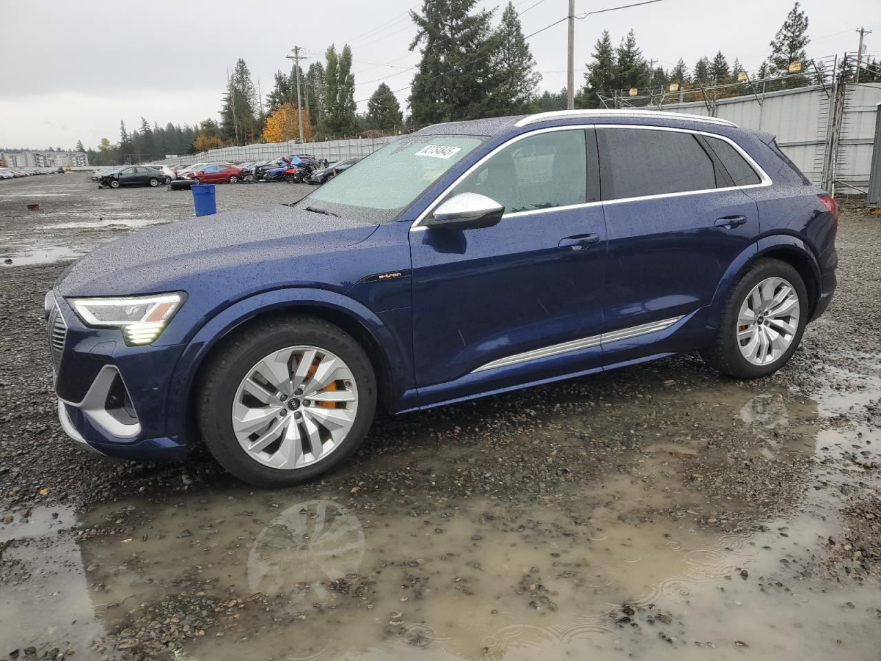 2022 Audi e-tron S