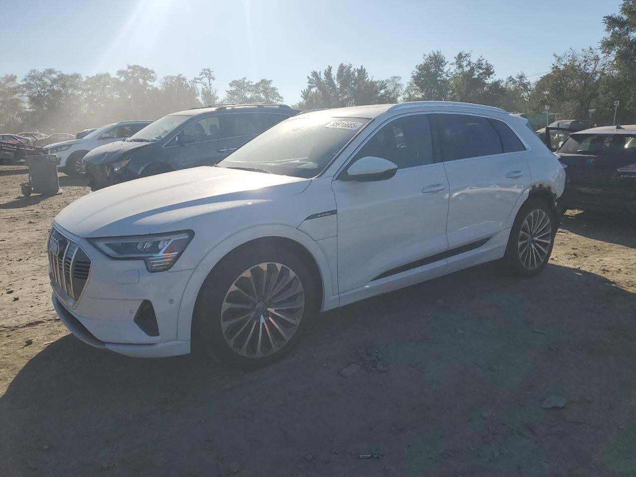 2019 Audi e-tron