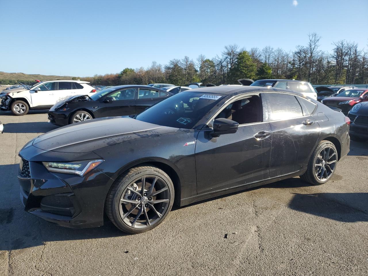 2023 Acura Tlx A-Spec