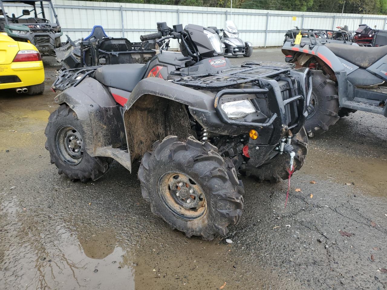 2024 Honda Trx