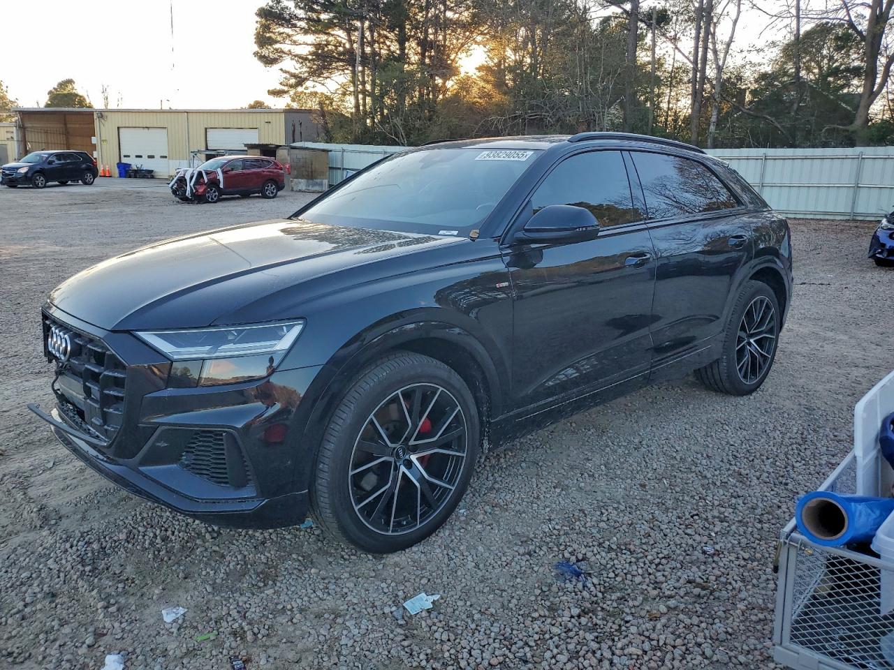 2019 Audi Q8