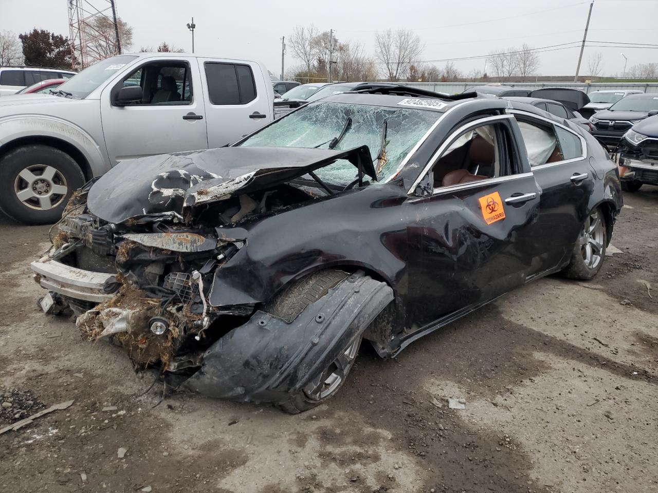 2011 Acura TL