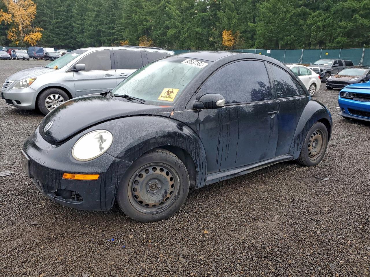 2010 Volkswagen Beetle