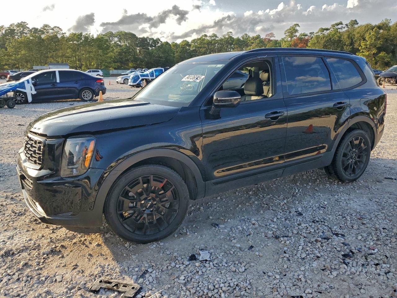 2022 Kia Telluride