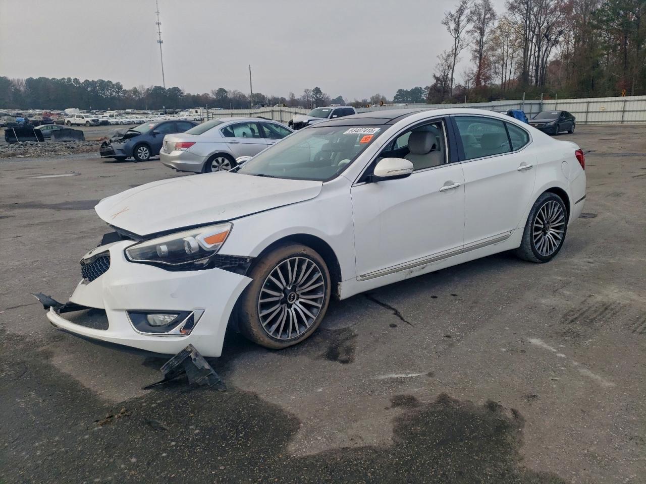 2014 Kia Cadenza