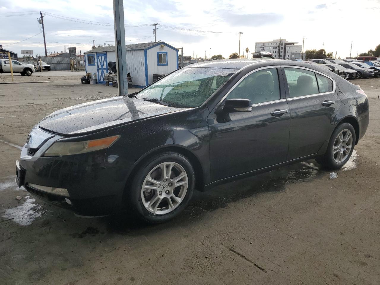 2009 Acura TL