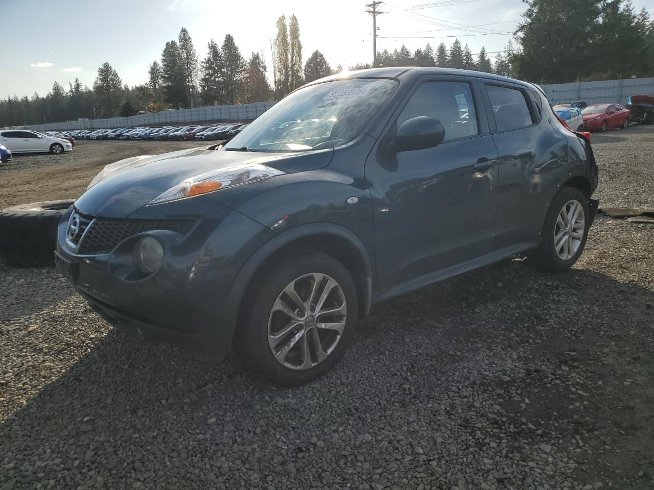 2013 Nissan Juke
