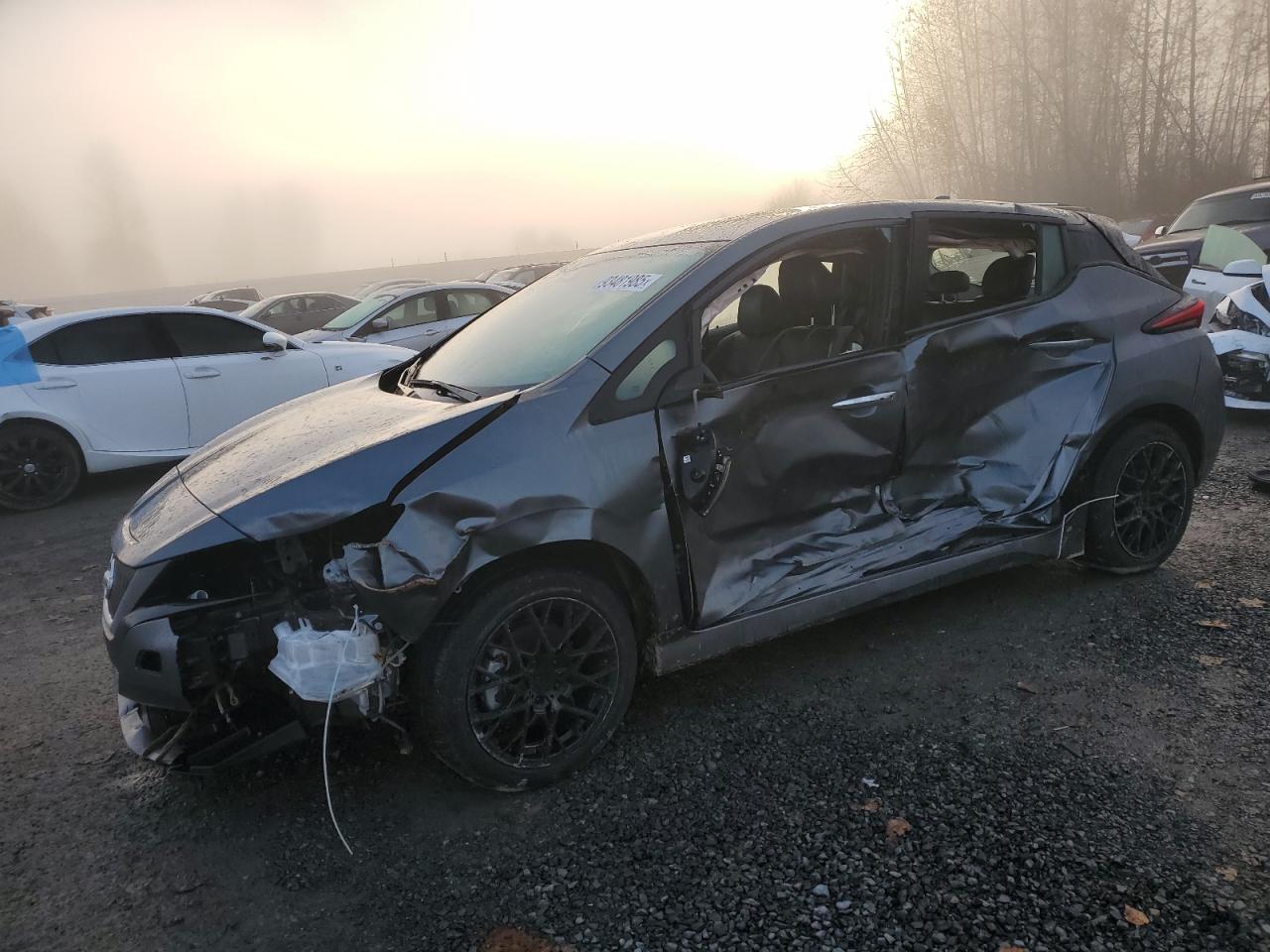 2020 Nissan Leaf